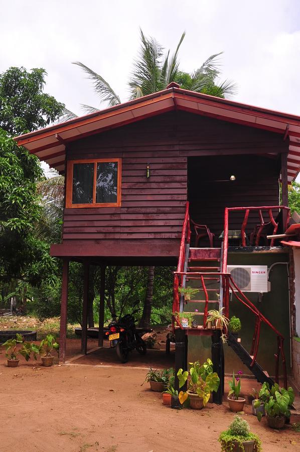 סיגירייה Pidurangala View Home Stay מראה חיצוני תמונה