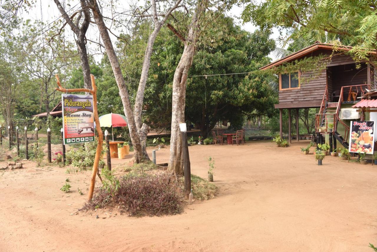 סיגירייה Pidurangala View Home Stay מראה חיצוני תמונה